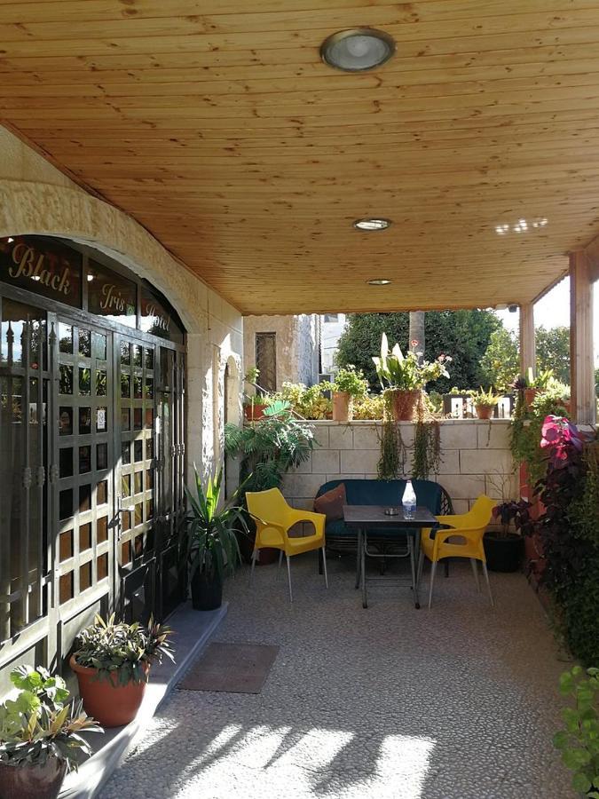 Black Iris Hotel Madaba Exterior photo